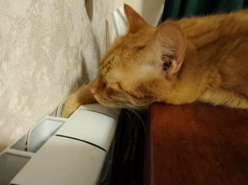 В Запорожской области зафиксировано 952 происшествия в отопительный период