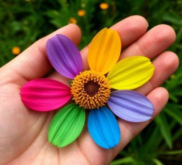 ��� ������� ������-���������� � ��������� ��������� ����