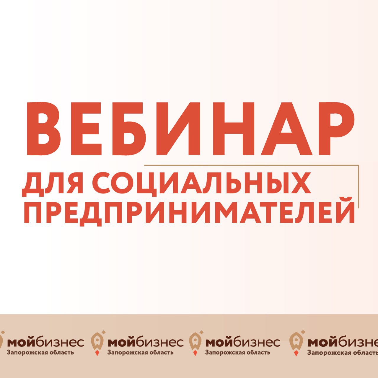 Как стать социальным предпринимателем Запорожской области и реализовывать социальные проекты?