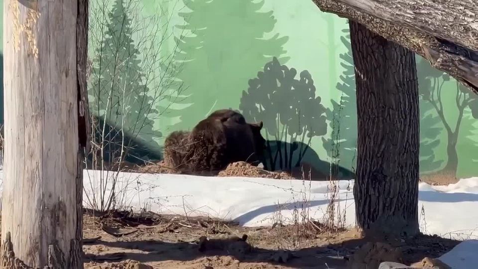 ������ ����. 07.04. - ������� � �������� �������� ���������� ����� ����� � ��� ���� � ����