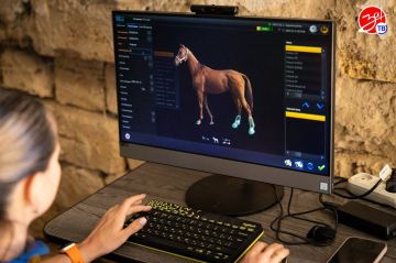 В Запорожскую область прибыли ветеринары из Ростова, чтобы оказать помощь лошадям, пострадавшим в результате обстрелов