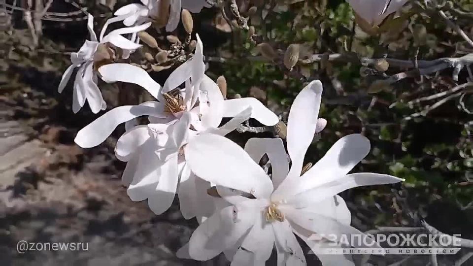 �������� �������� ����������� ������� ������