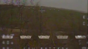 ������ ������ ���������� ���� 36 ����� ����������� ����� "������" �� ����������� ������������, ������� ���������� ���� � ������� ����� ��� �� ����������� �����������