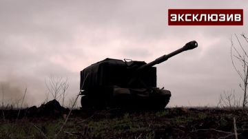 Расчет Мста-С обеспечил продвижение штурмовиков у Гуляйпольского