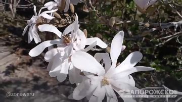 �������� �������� ����������� ������� ������