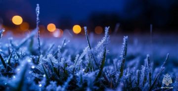 ��������� ��������������. ����� � ����� � 8 �� 10 ������ ������� � ����������� ������� ��������� ��������� � ������� � �� ����������� ����� -1,0...-3,0�