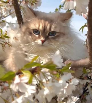 Вот и новый день. Бодро встречаем весенний день