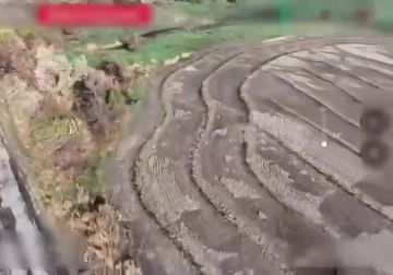 ��� �������� ������������ ������� �������������� ������ ���������� FPV-����� �� ������ � ����� ��������