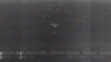 ��������� 38 ������� 35 ����� ������� ���������� ������������ ��� ����������� ��������