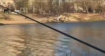 ����� ������ �� ��������� ������ � ���������������