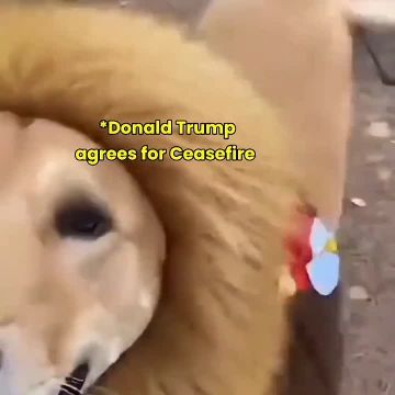 ���������� ������.... ����������� �����