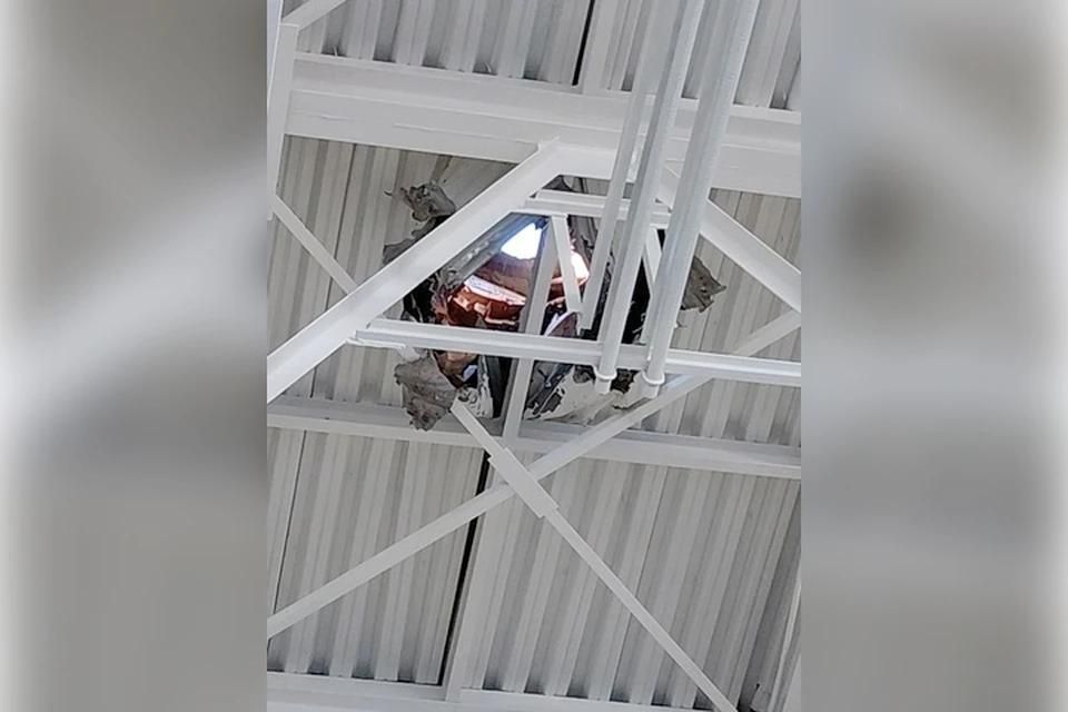 ���� ��� ������ �� ���������-���������������� ��������� ����������� ���