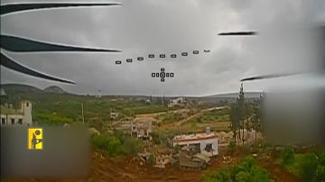 Очередной удар FPV-дрона "Хезболлы" по израильскому танку Merkava Mk.4M с мелким мангалом в Ливане