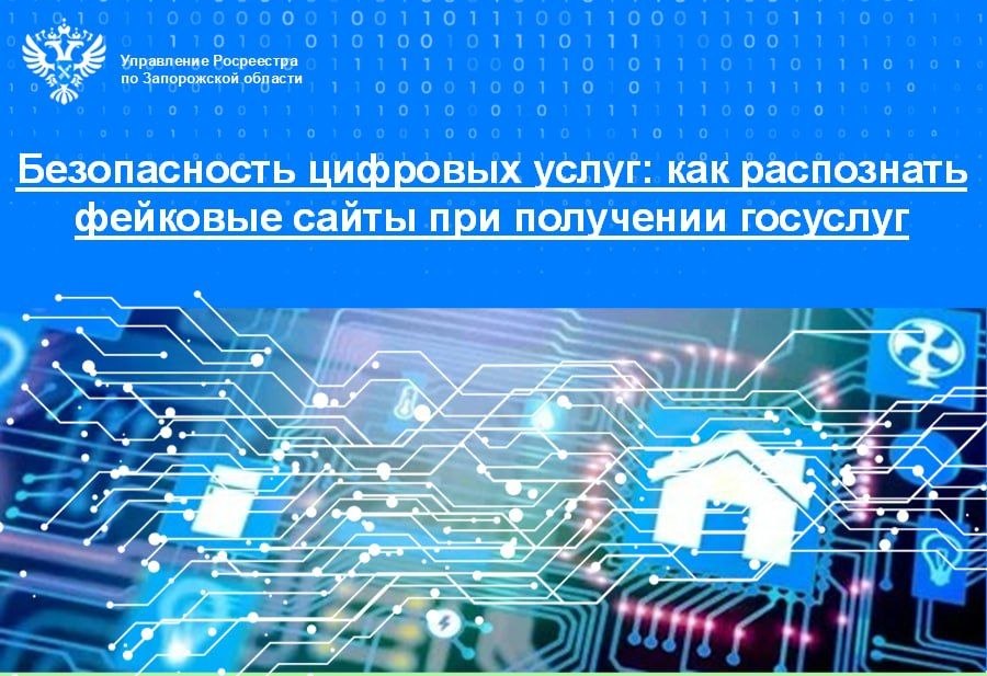 Как распознать фейковые сайты при получении госуслуг
