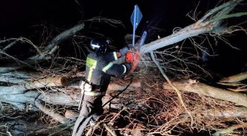 � ����������� ������� �������� ���������� ��������������