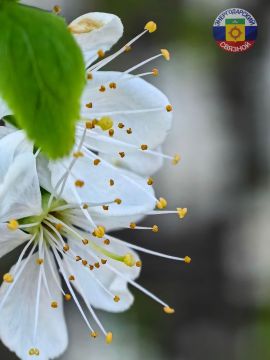 ������ ����! ������ ��� ������������� ���!