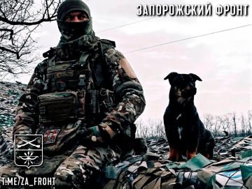 ���� ������� ���� � ������������ �����������