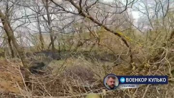 �����-���� � ����� - ������� �������� ��������� ������� ���