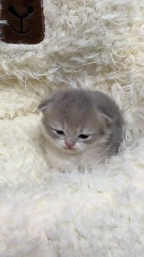 День подошел к концу. Просто мы в конце рабочей недели