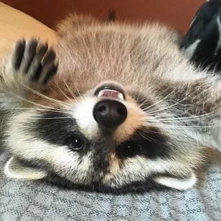 Доброй ночи, дорогие подписчики! Доброй ночи, Запорожье!