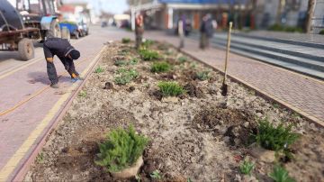 �������� ������ �� ��������������� � ���������� ������������ ���� ���������� ������������