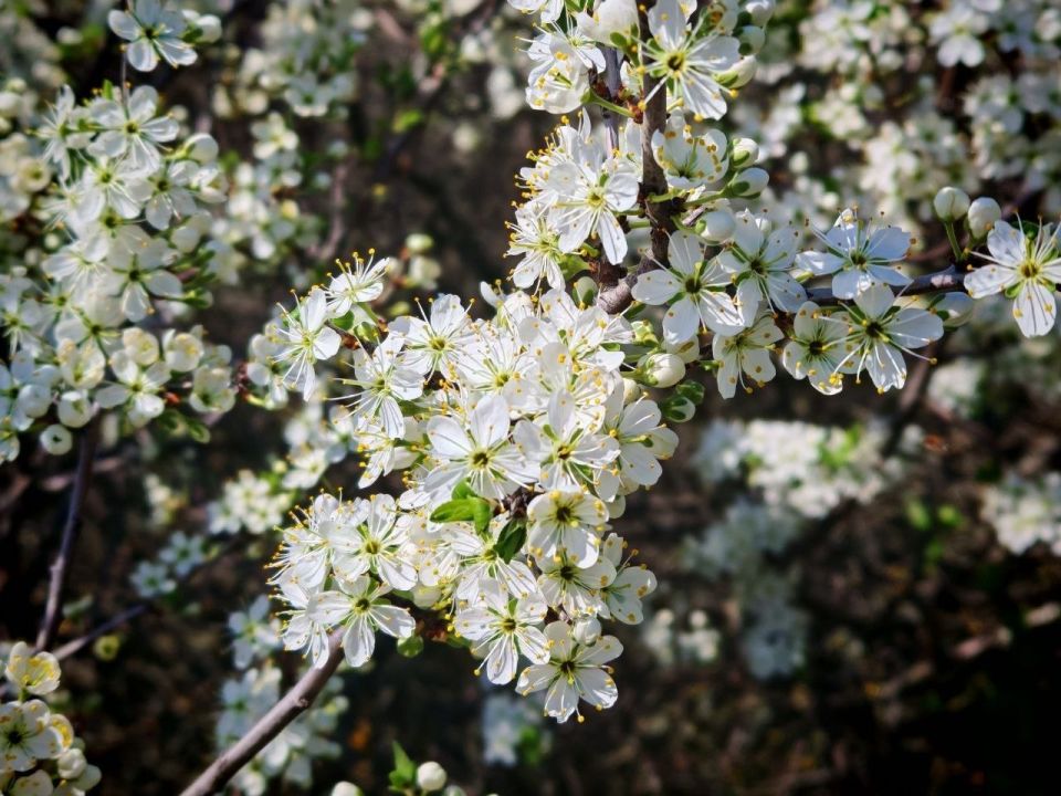 ������ �����: �����!. #������������