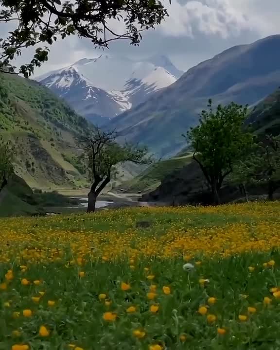 Чародинский район. Дагестан