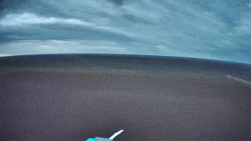 ������������ � ����-��������� �����������