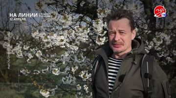 ��������� ���������� �� ������ ������ � ������� ��������� � ��������� ��� ����� | 12 ������