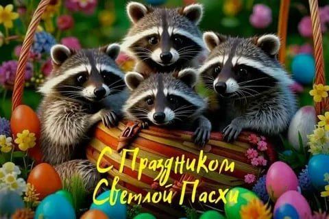 ������ ����, ������! �������� ��� ��� � ��������� ����������!