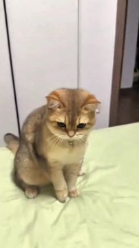 ��� � �����. ����� ���� ����� ������� � ��������