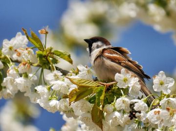Доброе утро. А вы знали, что сегодня