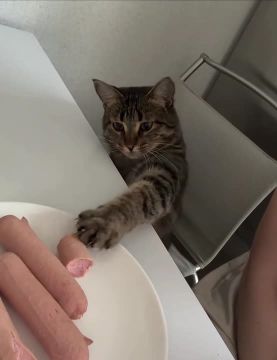 Выходные пролетели. Ужинаем и ложимся раньше спать