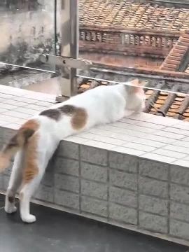 ��� � ����� ������. ����� ��� ����-�� ������, � ���� ������ �� �����