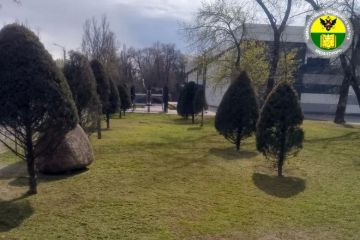 Администрация городского округа Мелитополь продолжает системную работу по поддержанию порядка в зелёных зонах города