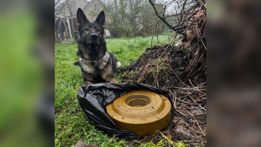 ��������������� ���� ���������� � ������ � ������ ���� �������� ����������� ����������� �������