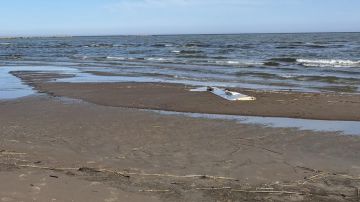 В Эстонии рухнул еще один украинский беспилотник