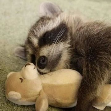 Доброй ночи, дорогие подписчики! Доброй ночи, Запорожье!