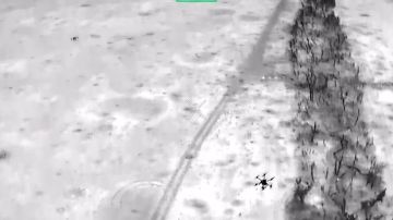 Российские дроноводы за ночь уничтожили три тяжелых беспилотника ВСУ в воздушных боях в Запорожской области