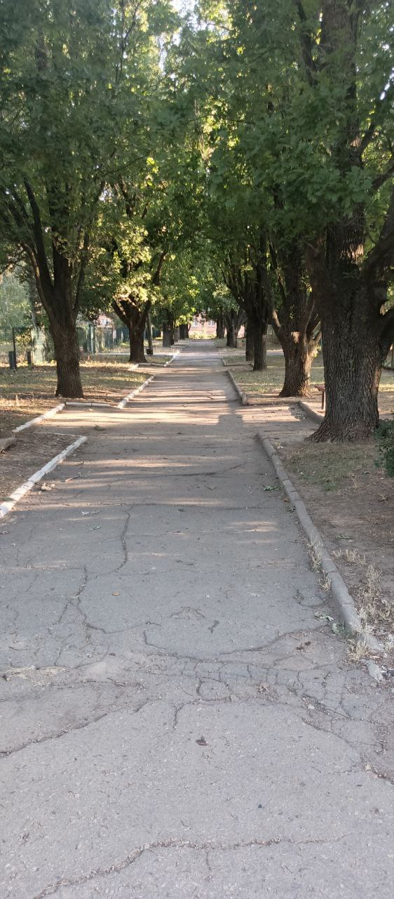 С добрым утром, с наступившим днём!