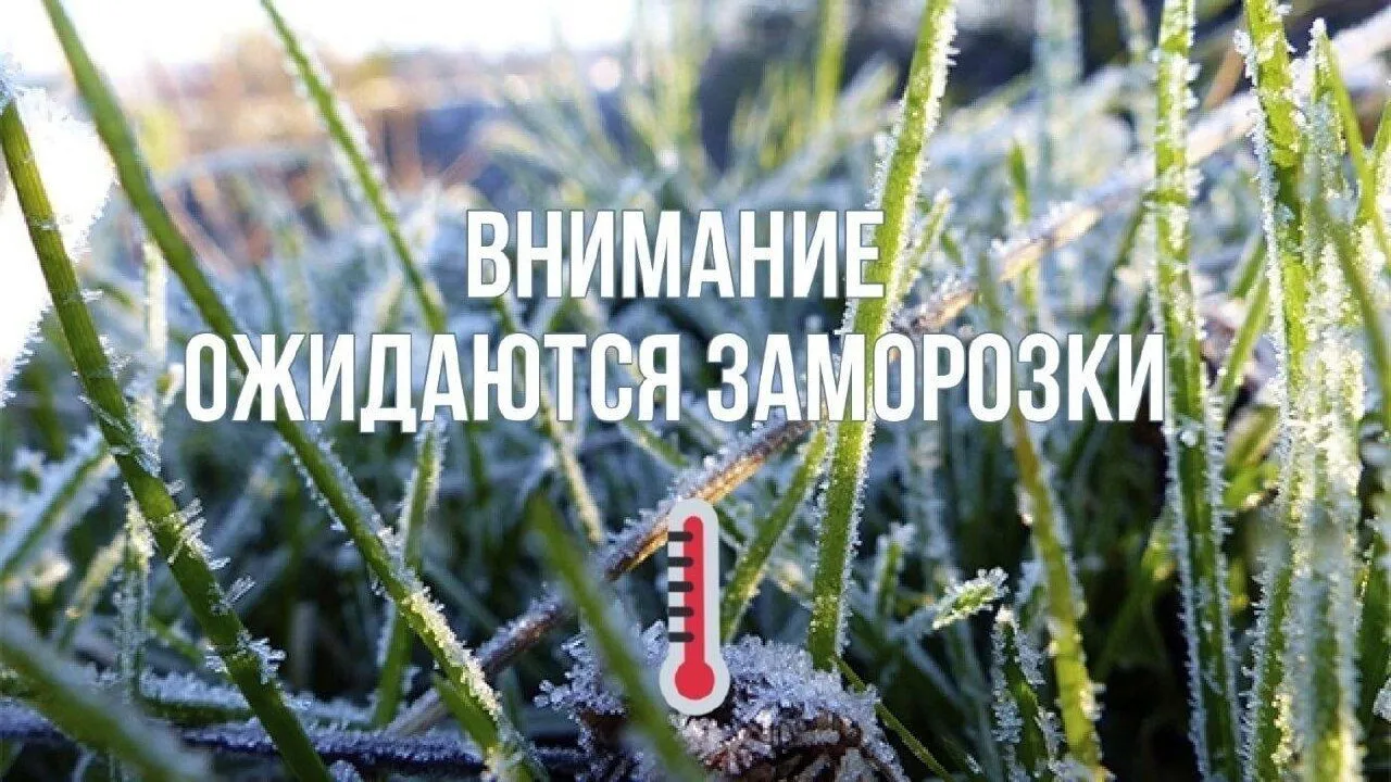 По информации Главного управления МЧС России по Запорожской области по данным Северо-Кавказского УГМС: ночью и утром 14, 15 и 16 апреля