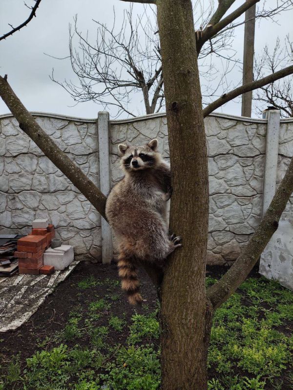 ������ ����.. ����������� �� ��� ����, ��������� �� ������ � ������ ��. ����. �� ����� ��������, ��� ��������� � ����-�� �� ����������. ���� �� �����, ��� ������ � ���������� �������� �� ������ �� �������