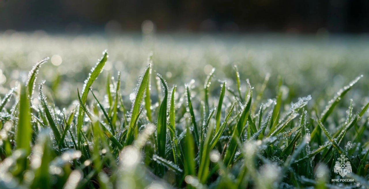 Экстренное предупреждение. Ночью и утром 14, 15 и 16 апреля местами в Запорожской области ожидаются заморозки в воздухе и на поверхности почвы -1,0...-3,0°