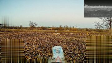 ���������� �� ����������. Fpv-���� �� �� ��������� ��������� ����� ���� ����������