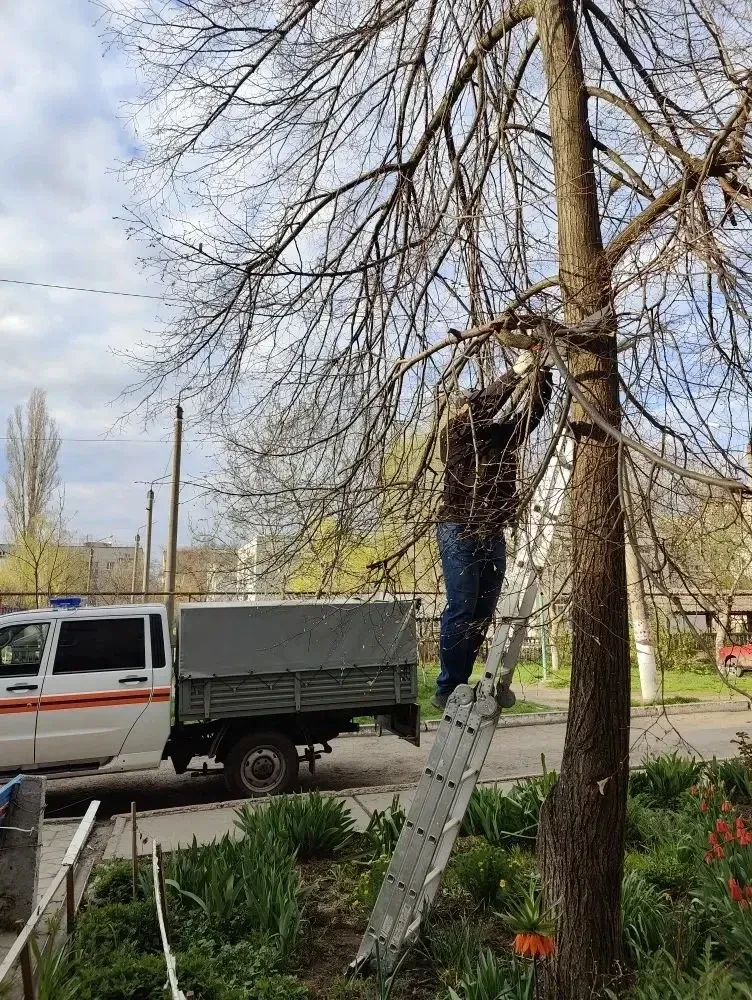 Шефы из Пензенской области готовят план по благоустройству в Токмакском и Пологовском муниципальных округах к 9 мая