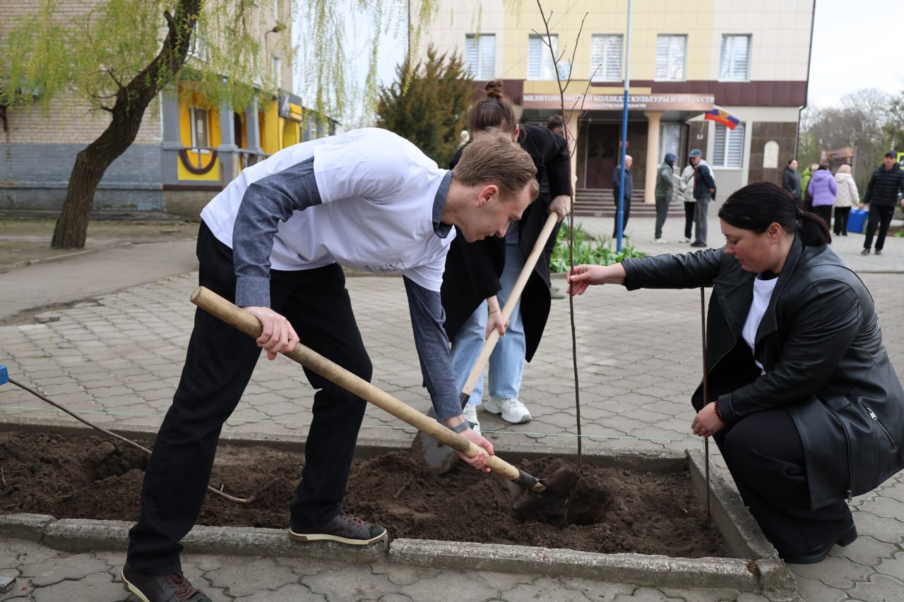 Живая память: Молодёжный совет по культуре высаживает аллею героев