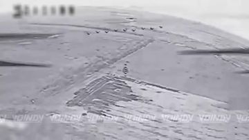 ��������� ���� 14 ����������� ������� �������� ����������� ����� "������" ���������� ���������� ������� ������� �����, ����������� �������