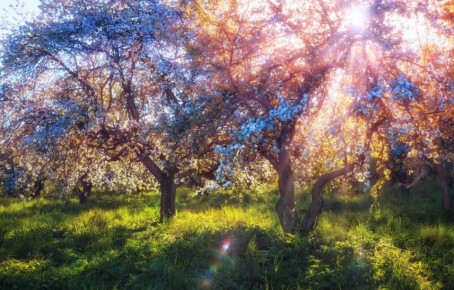 ������ ����. � �� �����, ��� �������