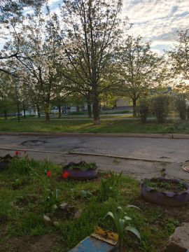 � ������ �����, � ����������� ����!