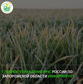 По данным Северо-Кавказского УГМС, ночью и утром 15–16 апреля местами в регионе ожидаются заморозки в воздухе и на поверхности почвы до -1…-3°С